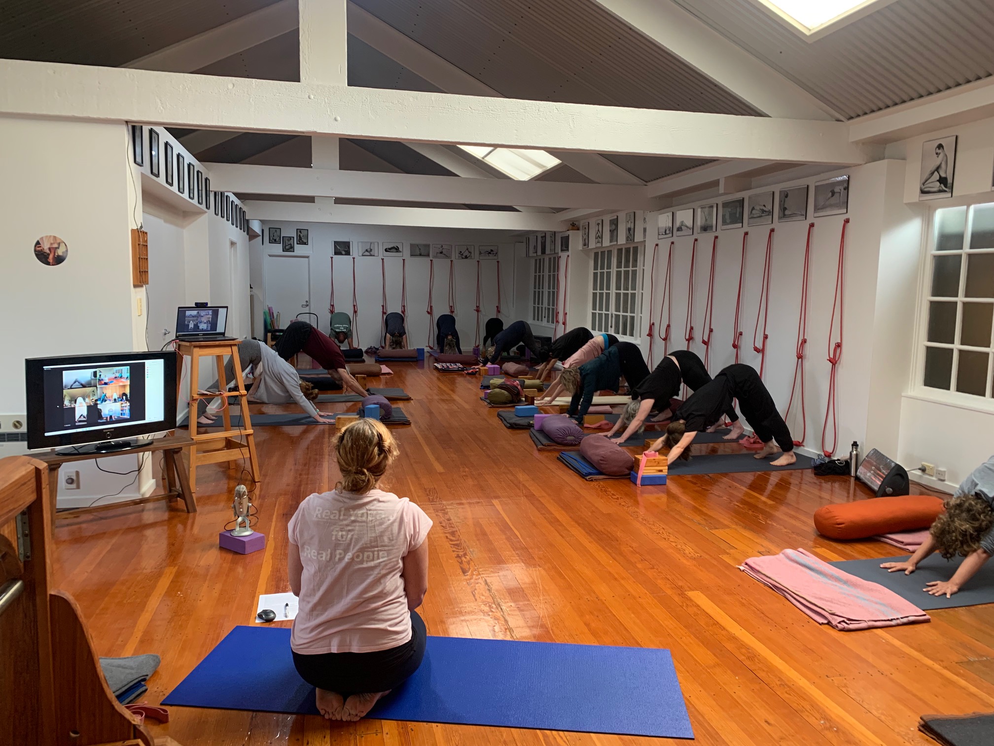 Iyengar Yoga Dunedin